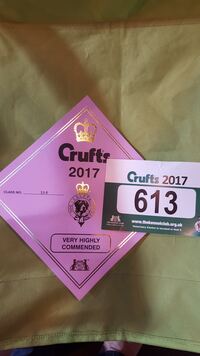 Crufts 2017_Lucie